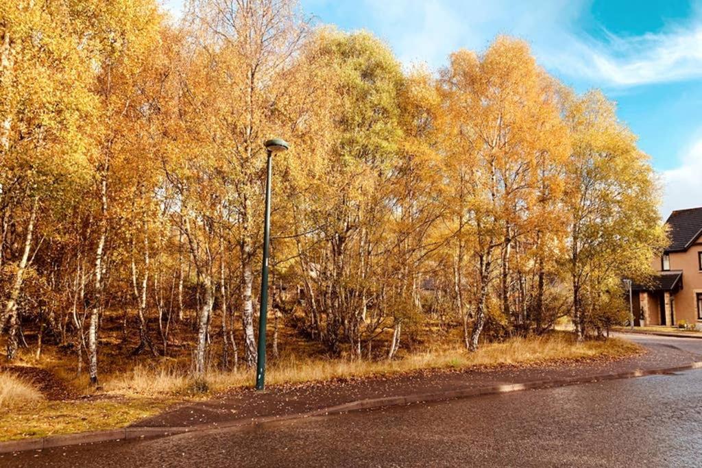 Cairngorm Cottage อาวีมอร์ ภายนอก รูปภาพ